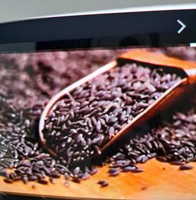 تصویر کتان - رنگ / رنگ Linum usitatisimum