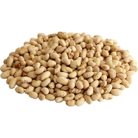 تصویر سویا نمکی 