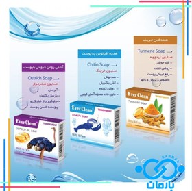 تصویر صابون خرچنگ (کتیتن) ever clean 