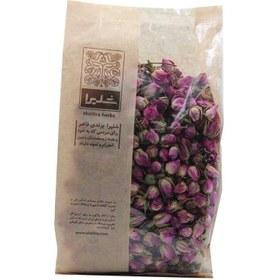 تصویر غنچه گل محمدی 