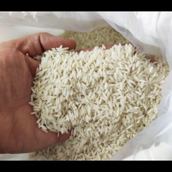 تصویر برنج طارم هاشمی کشت دوم (10 کیلویی) 