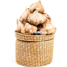 تصویر سیر سیاه فیتوسکوپ 