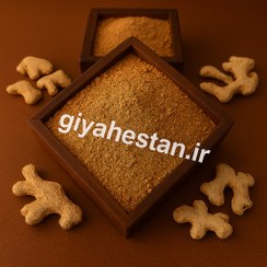 تصویر زنجبیل پودر یک کیلویی ( پودر زنجبیل ) 