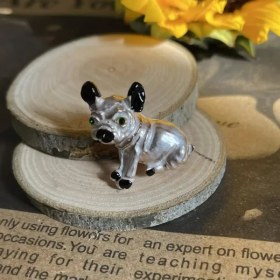 تصویر کد A-231 | گل سینه سگ نقره ای 