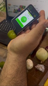 تصویر گوجه سبز ارگانیک 