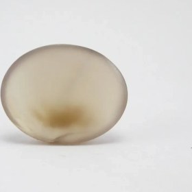 تصویر سنگ شجر کد 2319 