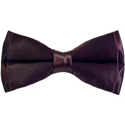 تصویر پاپیون مردانه بادمجونی | R&R 