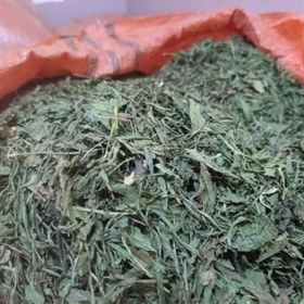 تصویر برگ کاسنی کشتی عمده 