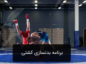 تصویر برنامه بدنسازی کشتی زیر نظر مربی درجه 1 فدراسیون 