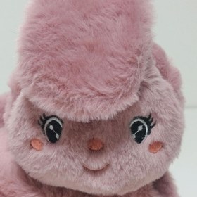 تصویر گوشگیر خرگوشی پمپی 