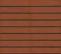 تصویر آجر نسوز آذرخش قرمز 10*50 