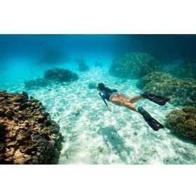 تصویر فین و پوتین مردانه زنانه پالت شیرجه سیاه FF 100 نرم Decathlon 