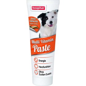 تصویر خمیر مولتی ویتامین بیفار مخصوص سگ مدل Multi Vitamin Paste وزن ۱۰۰ گرم Beaphar Multi Vitamin Paste for Dog 100g