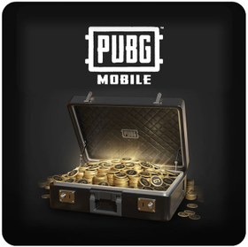 تصویر یوسی PUBG تعداد 325 عدد 