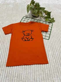 تصویر تیشرت خرسی 