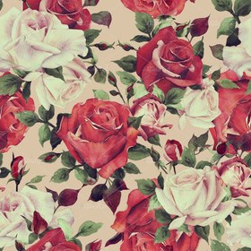 تصویر عکس با کیفیت گل لاله قرمز با جلوه بصری 