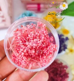 تصویر گل خشک ریز رنگی - قرمز 