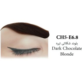 تصویر كيت رنگ ابرو سانتكس E6.8 