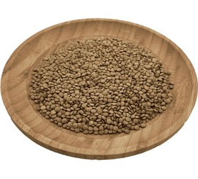 تصویر عدس ریز کانادایی 