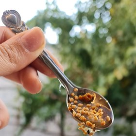 تصویر گرد گل ارگانیک 