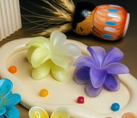 تصویر گیره مو ترند پلومریا 