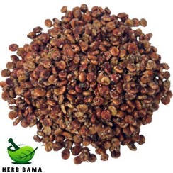 تصویر سماق قهوه ای دان 