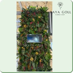 تصویر گرین وال مارونا 