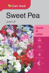 تصویر بذر گل نخودی 