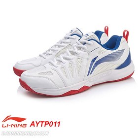 تصویر کفش بدمینتون لی نینگ Li-Ning AYTP011-1 