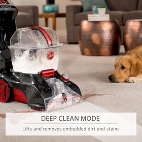 تصویر قالیشویی مدل Hoover Professional - ارسال 20 روز کاری 