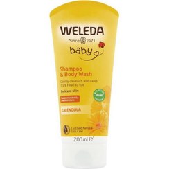 تصویر شامپو بدن 