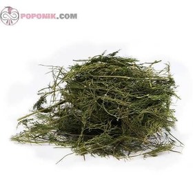 تصویر شوید پفکی 