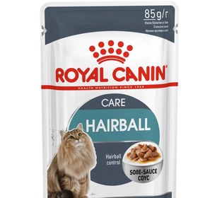 تصویر پوچ گربه هربال رویال کنین 85 گرمی 12 عددی Royal Canin Adult Hairball Royal Canin Adult Hairball