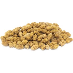 تصویر خرید توت خشک 200 گرمی 