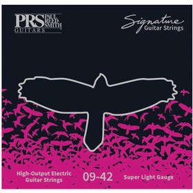 تصویر PRS Signature 09-42 