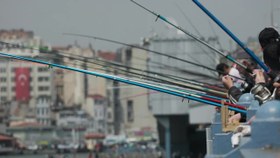 تصویر دانلود فوتیج ماهیگیری شهری در استانبول Urban Fishing Scene With Multiple Rods Lined Up Along A Bridge In Istanbul 