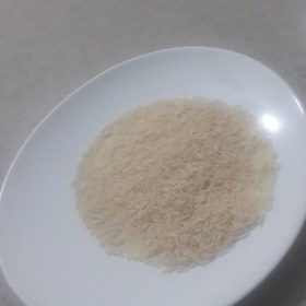 تصویر برنج هاشمی استانه 