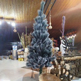 تصویر درخت کاج کریسمس 