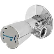 تصویر شیر پیسوار کوچک قهرمان 