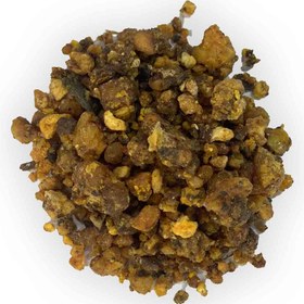 تصویر آنغوزه 