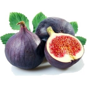 تصویر انجیر سیاه 