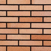 تصویر آجر نسوز آذرخش زرد شاموتی 26*5.5 