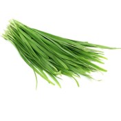 تصویر بذر تره 10، 100 و 500 گرمی