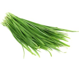 تصویر بذر تره 10، 100 و 500 گرمی