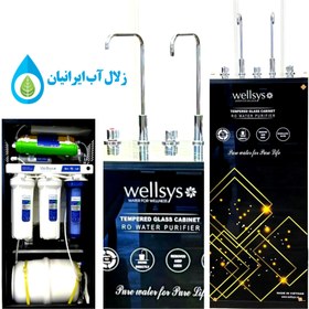 تصویر دستگاه آب سرد جوش تایوانیwellsys 