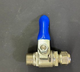 تصویر شیر پیسوار ورودی 