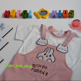 تصویر ست بیلر خرگوش بچگانه 