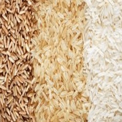 تصویر برنج دم سیاه دودی مجلسی 10 کیلو گرمی هاشمی 