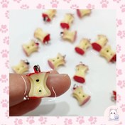 تصویر پلاک سیب گاز زده 