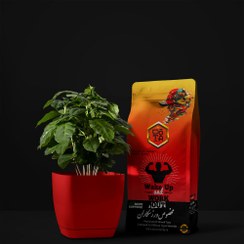 تصویر قهوه ترکیبی | قهوه فول کافئین ( شارژ ورزشی ) 